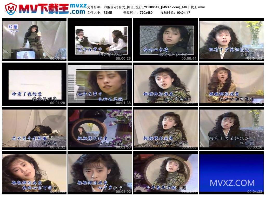 郑丽丝-我的爱_国语_流行_YE500842